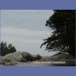 2003_2471_Wouwer_Island_Barkley_Sound.html
