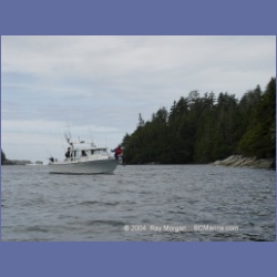 2003_2472_Wouwer_Island_Barkley_Sound.html