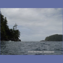 2003_2473_Wouwer_Island_Barkley_Sound.html