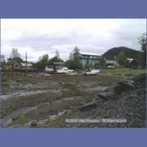 1998_317_Wrangel.jpg