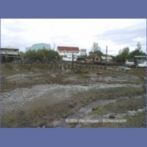 1998_318_Wrangel.jpg