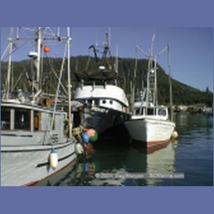 1999_362_Wrangell.jpg