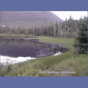 1999_365_Wrangell.jpg