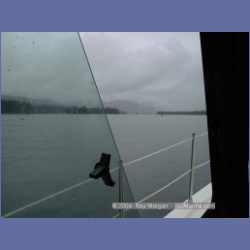 1998_336_Wrangel_Narrows.html