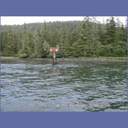 1999_136_Wrangel_Narrows.html
