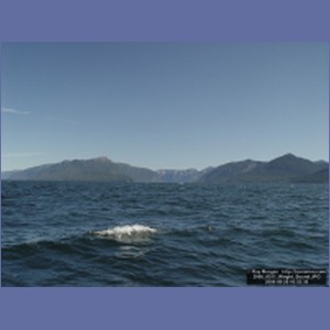 2006_0511_Wright_Sound.JPG
